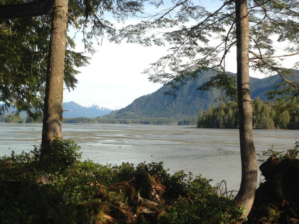 Black Bear Guesthouse Tofino Extérieur photo