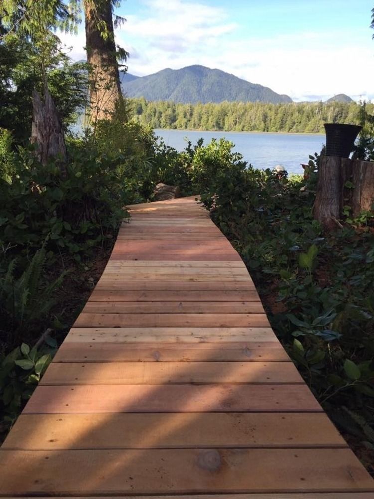 Black Bear Guesthouse Tofino Extérieur photo